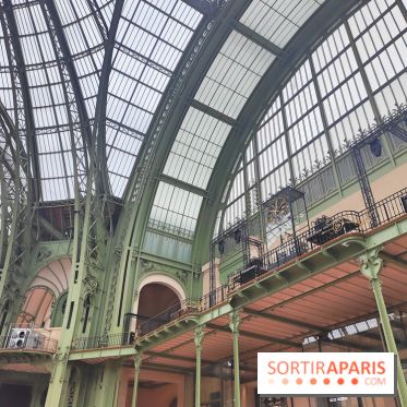 Grand Palais, visuels du monument parisien - fotor 1749119921609