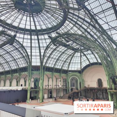 Grand Palais, visuels du monument parisien - fotor 1749119599633