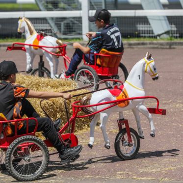 Un dimanche de folie à l’Hippodrome Paris-Vincennes  - BV 20240623132835BV1 8700