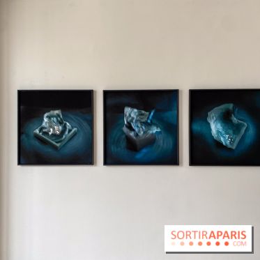 Exposition de Fred Atlan à la galerie Rachel Hardouin : au creux de mes paupières - IMG 5720