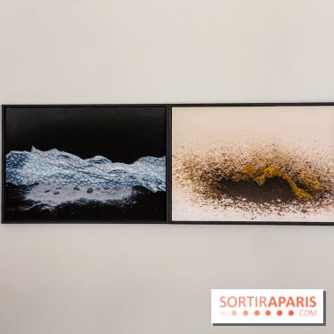 Exposition de Fred Atlan à la galerie Rachel Hardouin : au creux de mes paupières