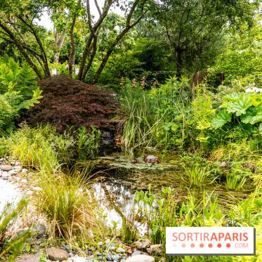 Le Jardin des Aubépines a Auffargis  - A7C01336