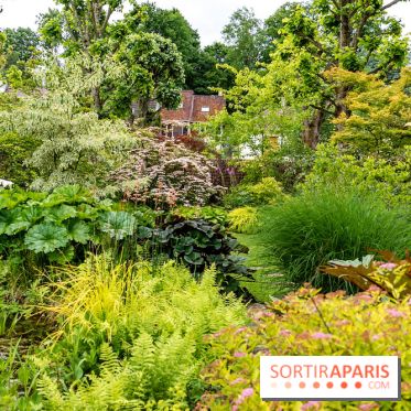 Le Jardin des Aubépines a Auffargis  - A7C01338