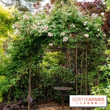 Le Jardin des Aubépines a Auffargis  - A7C01330