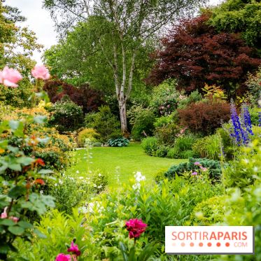Le Jardin des Aubépines a Auffargis  - A7C01416