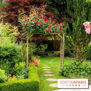 Le Jardin des Aubépines a Auffargis  - A7C01417