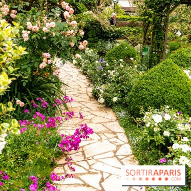 Le Jardin des Aubépines a Auffargis  - A7C01418