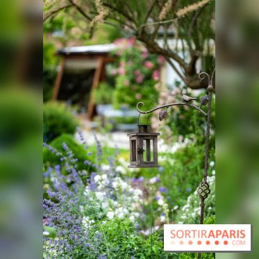 Le Jardin des Aubépines a Auffargis  - A7C01471