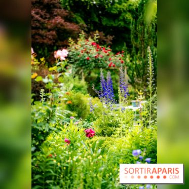 Le Jardin des Aubépines a Auffargis  - A7C01414