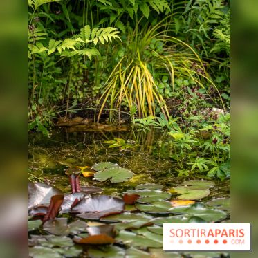 Le Jardin des Aubépines a Auffargis  - A7C01441