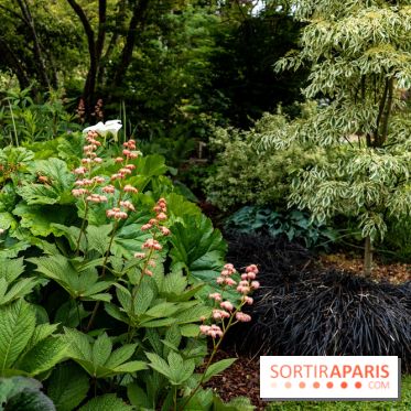 Le Jardin des Aubépines a Auffargis  - A7C01328