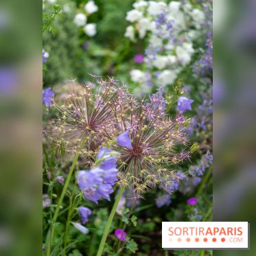 Le Jardin des Aubépines a Auffargis  - A7C01467