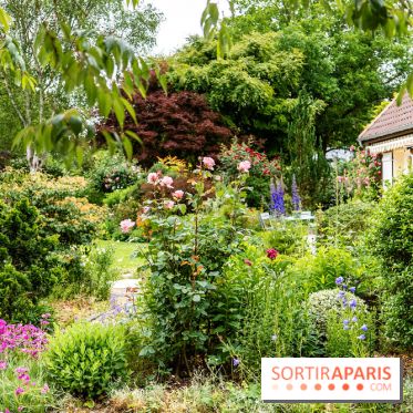Le Jardin des Aubépines a Auffargis  - A7C01415