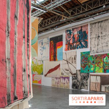 Exposition Disco de Vivan Sutter au Palais de Tokyo