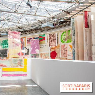 Exposition Disco de Vivan Sutter au Palais de Tokyo