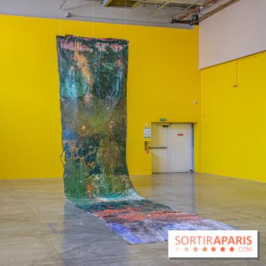 Exposition Disco de Vivan Sutter au Palais de Tokyo