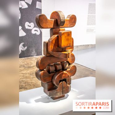 Exposition de Thảo Nguyên Phan au Palais de Tokyo - DSC 3077