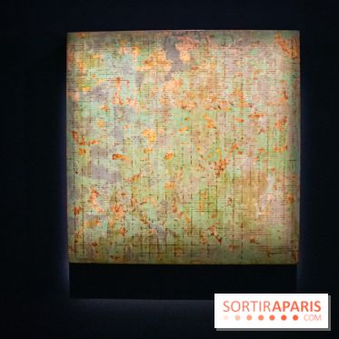 Exposition de Thảo Nguyên Phan au Palais de Tokyo - DSC 3087