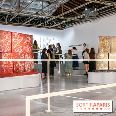 Exposition de Thảo Nguyên Phan au Palais de Tokyo