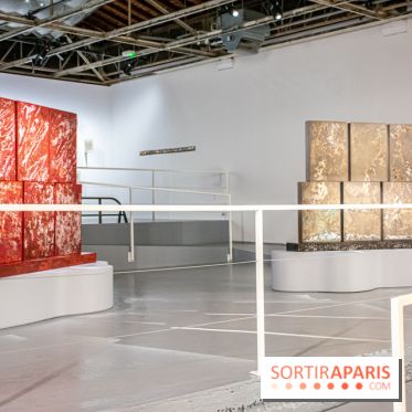 Exposition de Thảo Nguyên Phan au Palais de Tokyo - DSC 3093