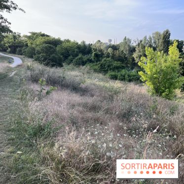 Le parc de l'Île-Saint-Denis - nos photos - 7B5E50E8 A9AF 4D82 AC6B FBB16863195F