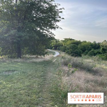 Le parc de l'Île-Saint-Denis - nos photos - 96DC1E52 629A 41C7 847C 4D6BC35C470A