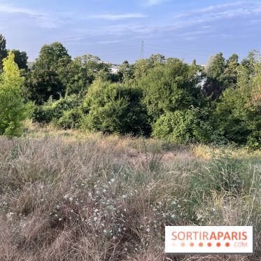 Le parc de l'Île-Saint-Denis - nos photos - C60ACAF0 A53D 4E50 8266 1C99F754FAE5