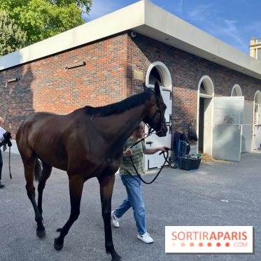 Jeuxdi by Longchamp - chevaux 