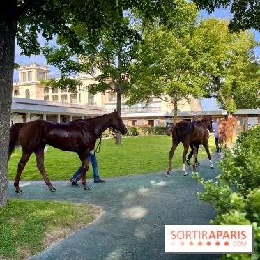 Jeuxdi by Longchamp - chevaux