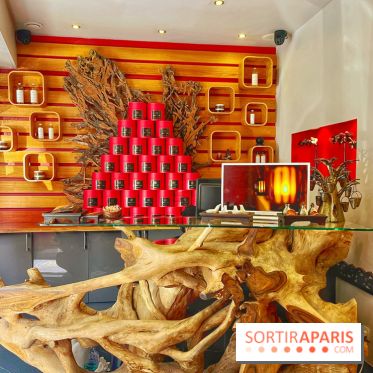 Arbre à sens - IMG 3066