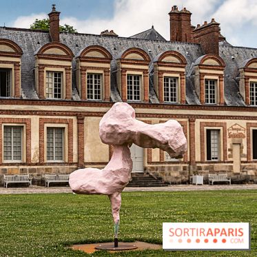 Grandeur Nature II, le festival d'art contemporain gratuit au parc du Château de Fontainebleau - D577B1A7 9129 4E1E 86F4 291C8AC374C9