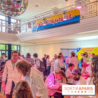 Championnat du Monde de Docteur Maboul à Paris - IMG 5919