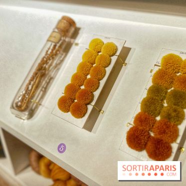 Tapisseries royales - IMG 3194