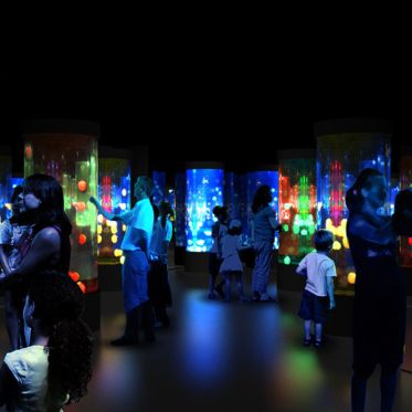 Disco Méduses à l'Aquarium Sea Life