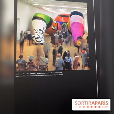 Niki de Saint Phalle, Jean Tinguely, Pontus Hultén : nos photos de l'expo inédite au Grand Palais - IMG 6173