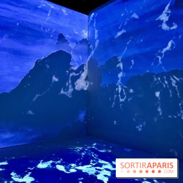 Topologie de l’Eau : Roches, Plantes et Vent - IMG 3237