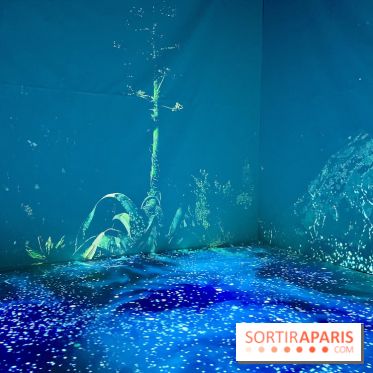 Topologie de l’Eau : Roches, Plantes et Vent