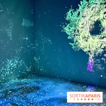 Topologie de l’Eau : Roches, Plantes et Vent