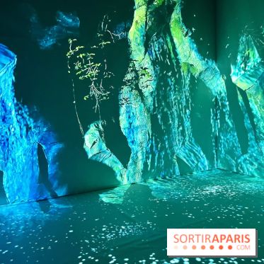 Topologie de l’Eau : Roches, Plantes et Vent