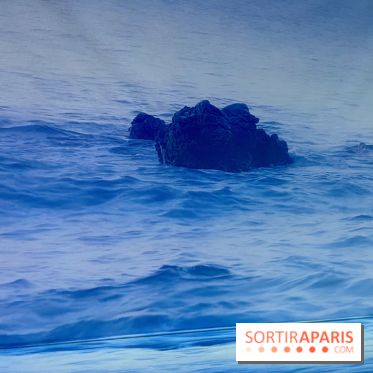 Topologie de l’Eau : Roches, Plantes et Vent