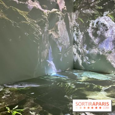 Topologie de l’Eau : Roches, Plantes et Vent