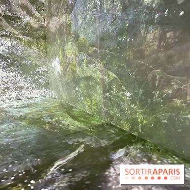 Topologie de l’Eau : Roches, Plantes et Vent