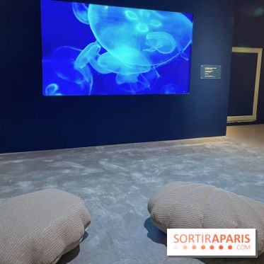 Transparence au Palais des enfants - nos photos - A9C8FEA1 98EA 4475 B97F A6EDF86F4C96