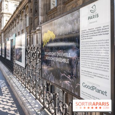 Hôtel de Ville - De Paris à Belem - Forêt Urbaine - Obey  - A7C03050