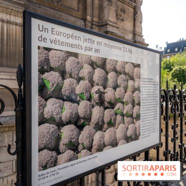 Hôtel de Ville - De Paris à Belem - Forêt Urbaine - Obey  - A7C03051