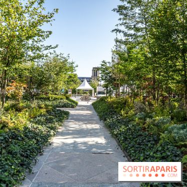 Hôtel de Ville - De Paris à Belem - Forêt Urbaine - Obey  - A7C03314