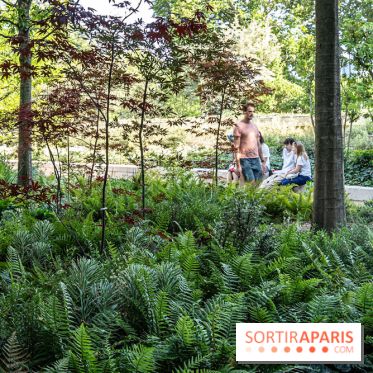 Hôtel de Ville - De Paris à Belem - Forêt Urbaine - Obey  - A7C03326