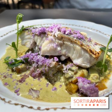 Hôtel le Charmant - nos photos - 4EA8124B 869D 4C78 90FA 1DA258AEE6C6