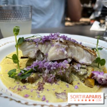 Hôtel le Charmant - nos photos - 591E21E8 E9A6 447C B6E5 2C9F2491E466