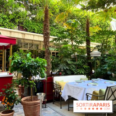 Patio terrasse La Réserve Paris - Terrasse